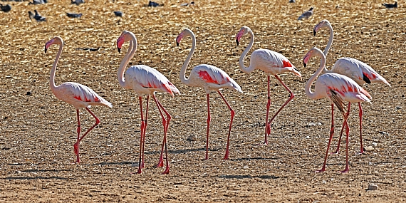 לטיול יצאנו