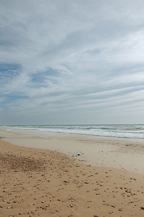 צילום: מוריה בן דוד