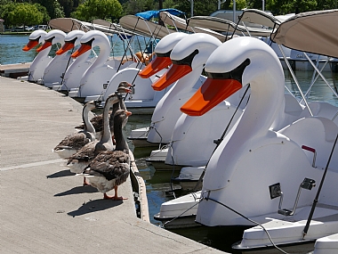 מפגש מעולם אחר