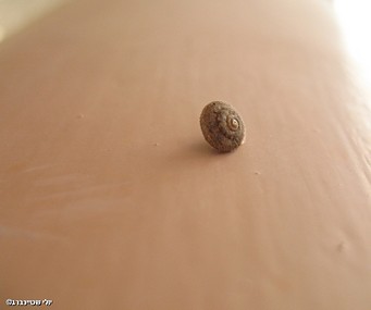 עולה למעלה....