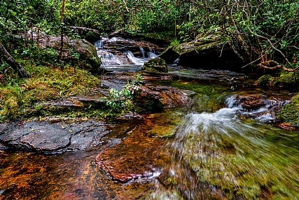 נהר חמשת הצבעים