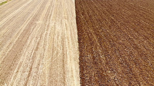 צילום: גיא שרי