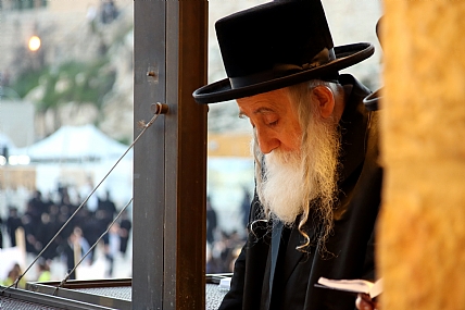 צילום: אריאל  צ