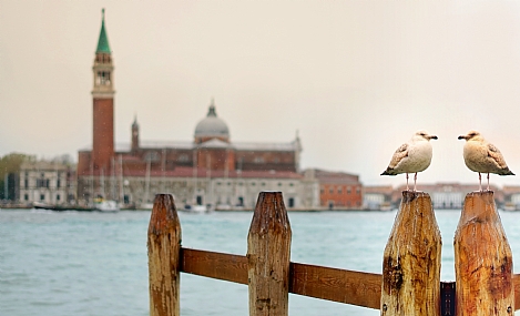 וונציה הרומנטית