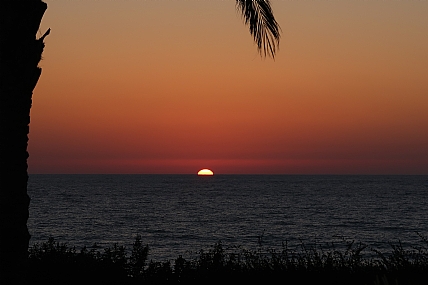 צילום: מלכה כהן