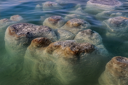 עמודי מלח בים המלח