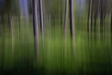 משיכת מכחול