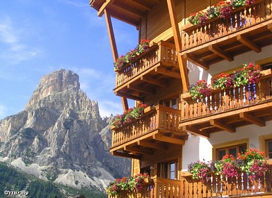 פרחים ופסגות