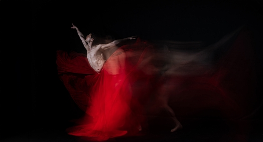 צילום: דני בר