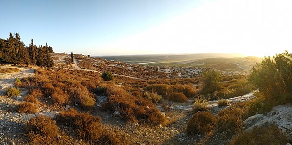 צילום: אלחנן ברדה