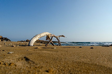 צילום: דורון חזן
