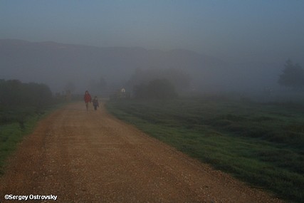 טיול בוקר ערפילי