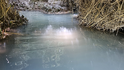 צילום: ברוך בקלו