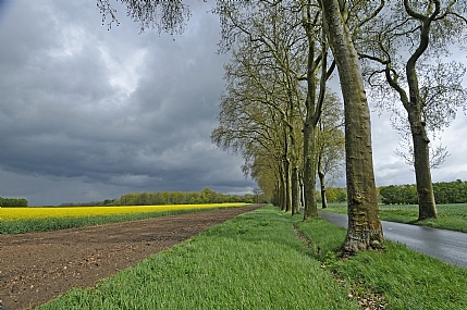 צילום: יורם סגול
