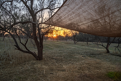שקיעה בדרום 