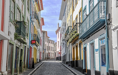 צילום: עמיחי דקל