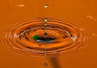 צילום: עמיחי דקל