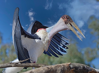 חיוך לשנה החדשה