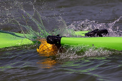 פולו קייקים