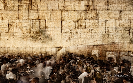 צילום: חיים פיינהנדלר