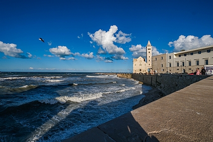 הקתדרלה בטראני