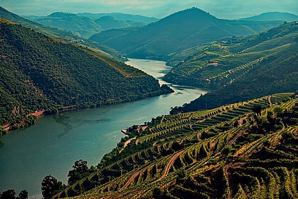 צילום: מנחם לזר