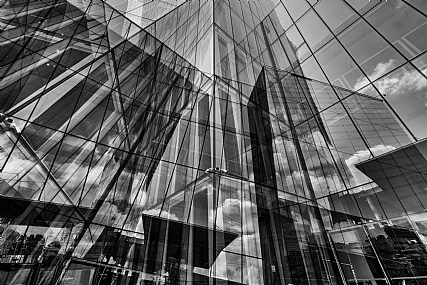 צילום: יהושע רעיף