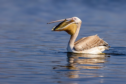 צילום: יריב אללוף