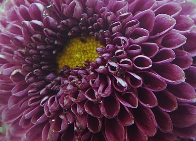 צילום: יואל ויסלוב