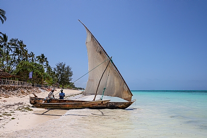 צילום: יריב אללוף