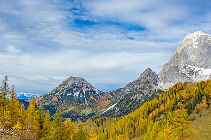 צילום: חיים פיינהנדלר