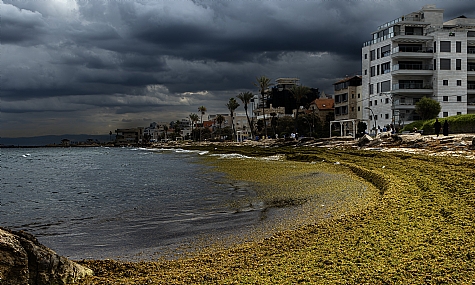 צילום: Robert Elstein