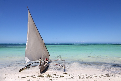 צילום: יריב אללוף
