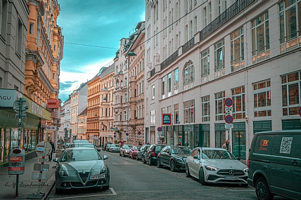 צילום: חיים פיינהנדלר