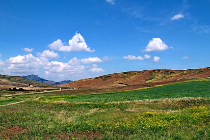 צילום: מנחם לזר