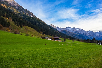 צילום: חיים פיינהנדלר