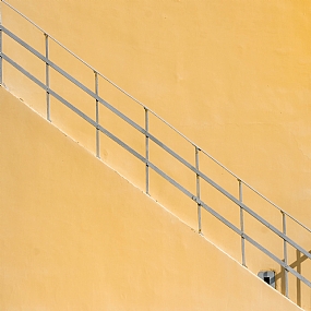 צילום: יהושע רעיף