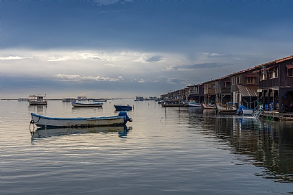 צילום: יריב אללוף