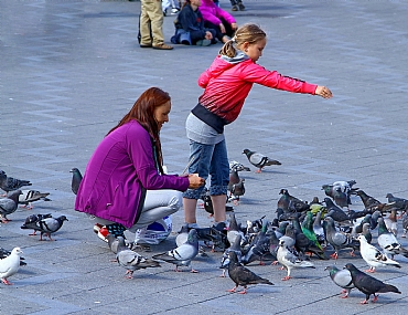 צילום: מנחם לזר
