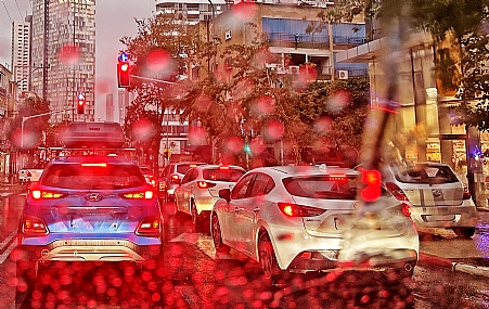 צילום: יורם סגול