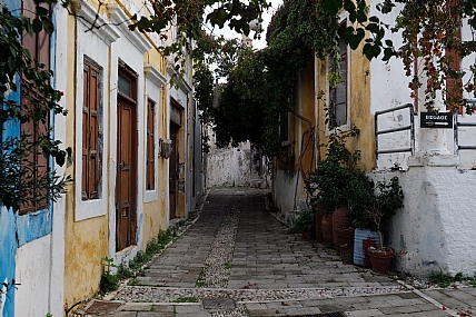 צילום: מנחם לזר