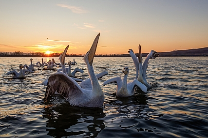 זריחה באגם קירקיני