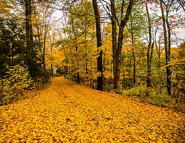 צילום: משה שרייבר