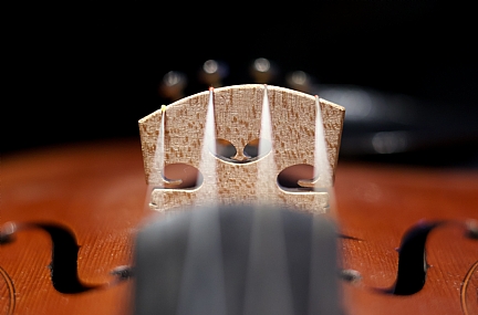 קומפוזיציה בכינור 