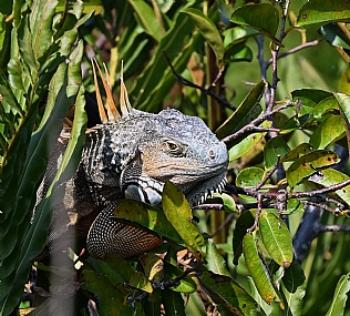 צילום: עמיחי דקל