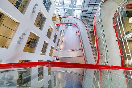 צילום: יהושע רעיף