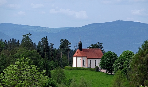 צילום: מנחם לזר