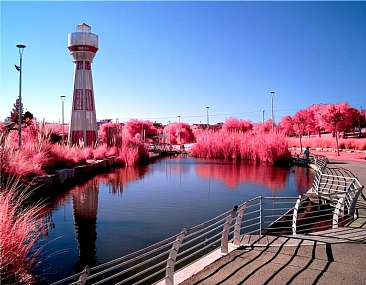 צילום: אריק כפיר