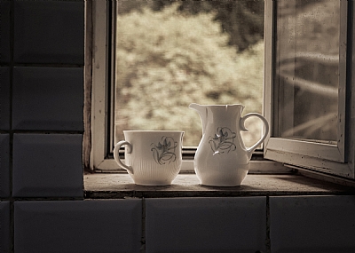 צילום: חיים פיינהנדלר