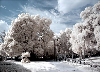 צילום: אריק כפיר